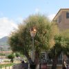 SAINT JEANNET LED 640 / 650 12 08_ILE_ROUSSE_St_Jeannet_LED (4)