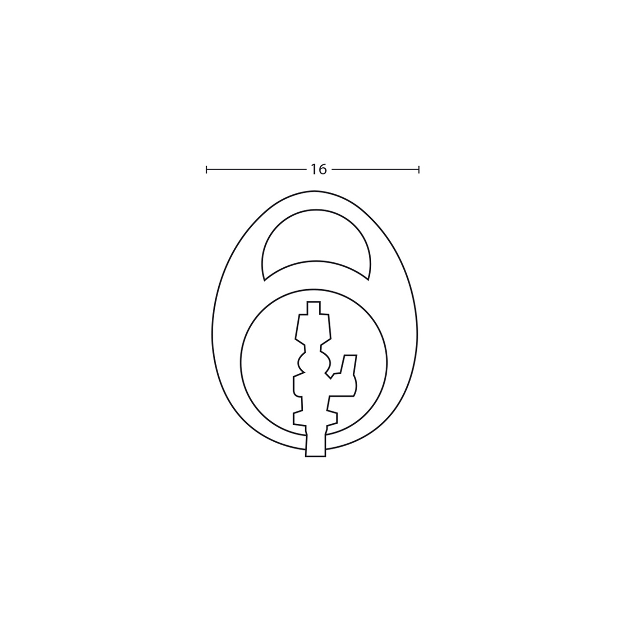 žarnos ritė-16