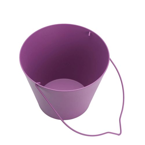Pastatomas kibirėlis SC ・ Violetinė