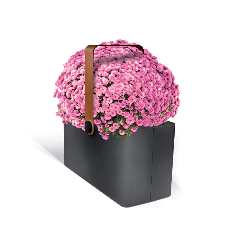 PLANTER BASKET 1 miesto aplinkos vazonas 1